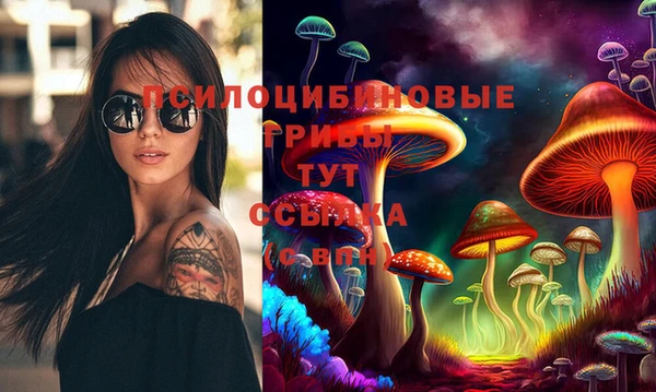 МДПВ Киренск