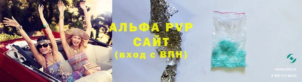 индика Сафоново