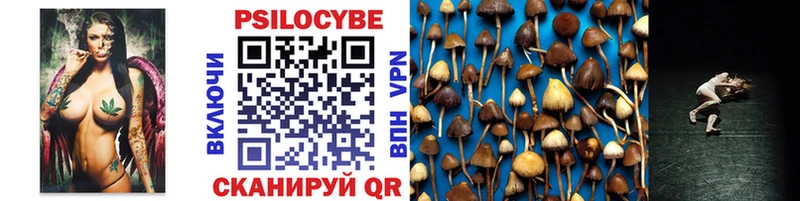 Галлюциногенные грибы Psilocybine cubensis  Сычёвка 