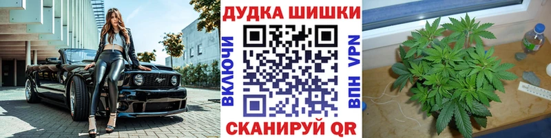 купить наркотики цена  Сычёвка  МАРИХУАНА индика 